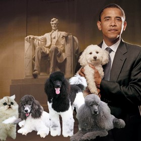 Practice Work: Presidintial Puppies