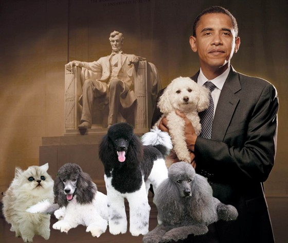 Practice Work: Presidintial Puppies